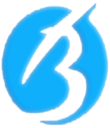 البدر للمقاولات و التوريدات العمومية